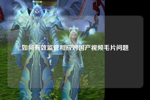 如何有效监管和应对国产视频毛片问题
